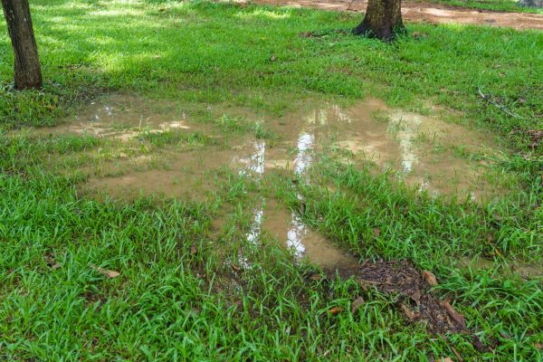 Storm Water Drainage Service in Fishers