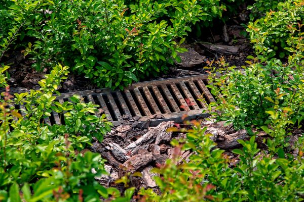 Cost of Underground Drainage Service in Fishers