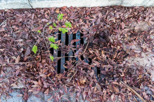 Yard Drain Unclogging in Fishers
