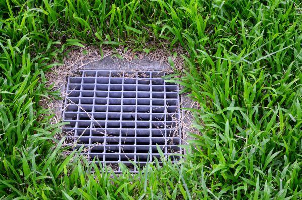 Yard Water Drainage in Fishers