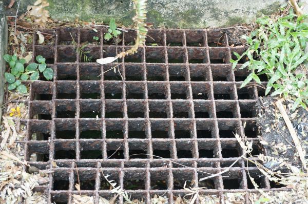Yard Drain Cleaning in Fishers