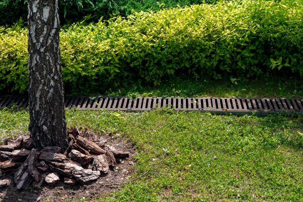 Cost of Garden Drainage Installation in Fishers