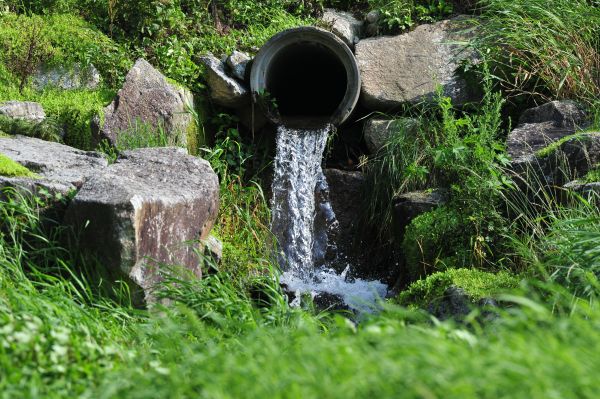 Water Redirection in Fishers