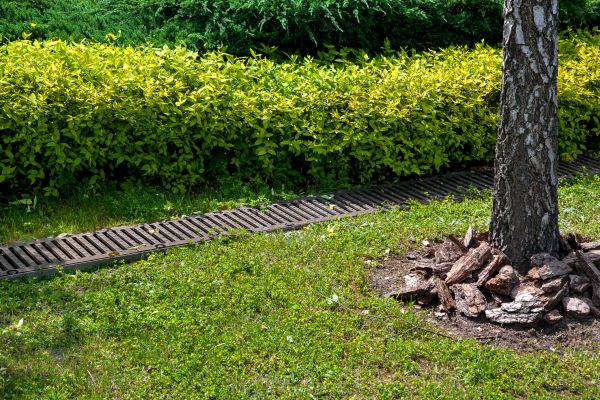 Cost of Residential Landscape Drainage in Fishers