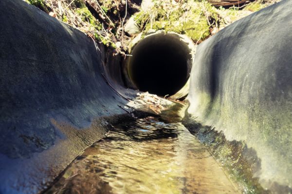 Cost of Drainage Swale Installation in Fishers