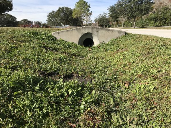 Cost of Swale Drainage Service in Fishers